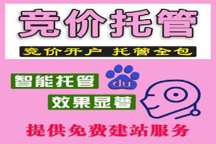 竞价广告投放的秘诀：某企业与竞价推广公司的合作成果
